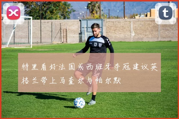 特里看好法国或西班牙夺冠建议英格兰带上马奎尔与帕尔默
